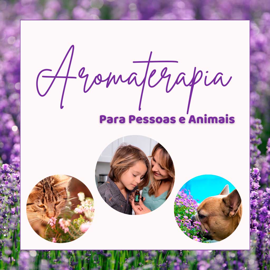 Curso aromaterapia para animais e pessoas