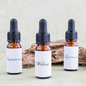 Curso de Florais de Bach